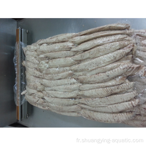 Longe de thon skipjack congelée précuite pour conserverie